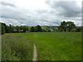 In a field near Losehill Hall