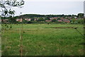 Earlham across the marshes