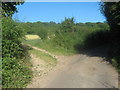 Unused stile on Elham Valley Way near Wingmore Court Farm 