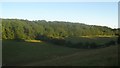 Valley beside Elhampark Wood