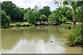 Lake and bridge, Gatton Manor