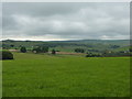 Across a meadow towards Oakenclough