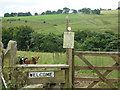 Welcome sign and welcoming committee