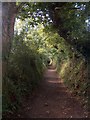 Public right of way north west of Trelissick House and Gardens