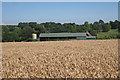 Barn at Holtstreet Farm