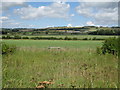 Field off Moorstock Lane