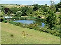 Lake alongside the footpath