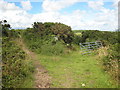 Junction of bridleway and track near Mean Pern