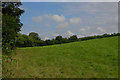 Field near Cwm-mawr