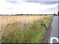 Clay Lane trig point Burtonwood