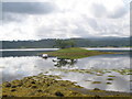 NM9535 : Small island on a bay in Loch Etive by John Ferguson