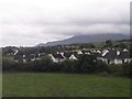 New housing estate in the hamlet of Burrenbridge, near Castlewellan