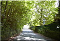 Whins Lane, Read, Lancashire