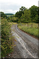 Track from Stokes Barn