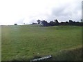 Sheep pastures above the Edentrumly Road Upper, Kean