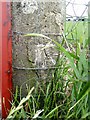 Benchmark on concrete gatepost on Lords Lane