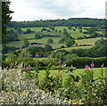 View near Ashover Hay Farm