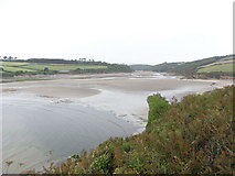 SX6147 : River Erme estuary about 29 minutes after low tide by Maurice D Budden