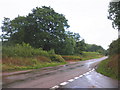 Road junction, near Colliton Moor