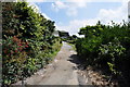 The footpath to Mortehoe Station Road passes along a track in front of Seymour Villas