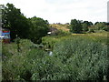 Wareham, River Piddle