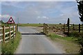 Cattle Grid onto Lady Down