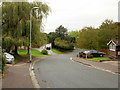 Looking north along The Firs, Newport