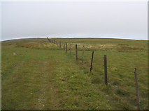 NS9501 : Fence on Gana Hill by David Brown