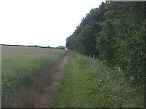 SE9074 : Wolds Way footpath heading west, West Heslerton Brow by JThomas