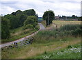 Hilltop Road towards Appletree Knoll