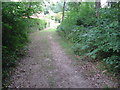 Bridleway passing Roundals Farm