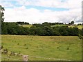 View across the Shimna Valley towards the Bryansford Road