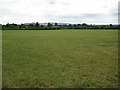 Farmland at Dorsington