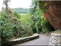 J3432 : Path leading from the Horn Bridge towards the Shimna River by Eric Jones