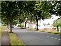 New housing on the south side of Allt-yr-yn Avenue, Newport