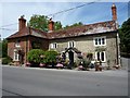 The Black Dog, Chilmark