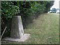 TR0939 : Trig Point beside Southenay Lane by David Anstiss