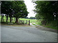 Cattle grid on the track to Mabws-fach