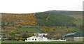 J2115 : Ballincurry Wood and houses on the Killowen Old Road by Eric Jones
