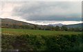 Farmland at the mouth of Kilfeaghan Road