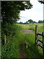 Footbridge over the Moat Brook