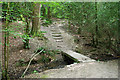 Bridge and steps, Leechpool Wood