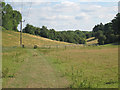 Fields beside Shelleys