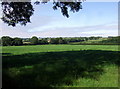 Farmland north of Trewilym