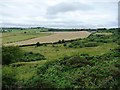 Field and scrubland