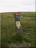 TQ0909 : Right of way marker on Blackpatch Hill by Shazz