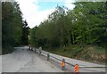 Road leading to stone quarry in Narrow Water Forest