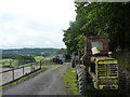 A trio of retired tractors