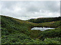 Small former reservoirs at Lightwood