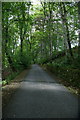 Road to Ashmore Farm, Bridge of Cally